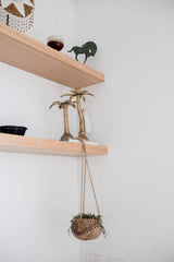 Coconut wave hanging pot