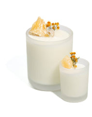 Golden Wattle with Yellow Calcite PROTECTION + WELLBEING: 18+ Hours Burn Time