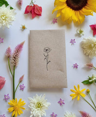 Bee Kind Australia - Bee Kind Mix - Wildflower Seeds: 0.5 Gram